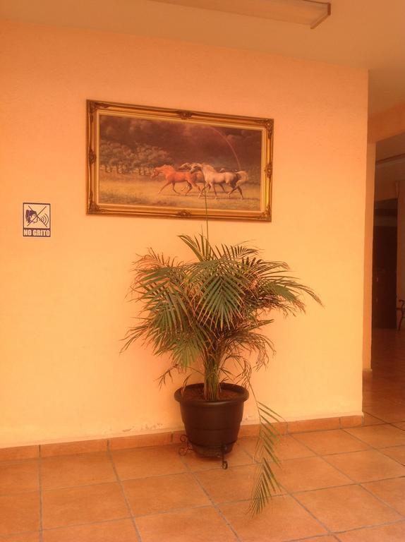 Hotel Genoves San Juan de los Lagos Rum bild